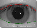 Eyelids separation by VeriEye allows to detect irises even when eyes are partially covered by lids
