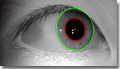 Gazing-away eyes are correctly segmented and transformed by VeriEye algorithm
