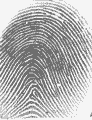 Raw fingerprint image from SecuGen Hamster IV