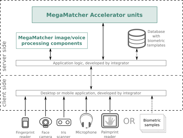 MegaMatcher Accelerator based system architecture schema